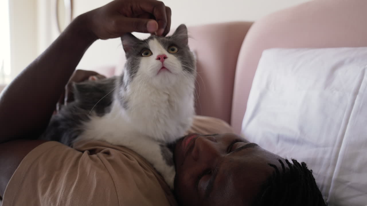 Pet owner with his cat on bed