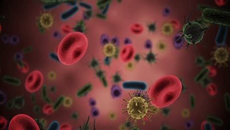 células de virus, glóbulos rojos y bacterias generadas digitalmente contra un fondo rojo