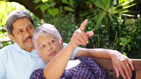 senior couple pointing to a distance