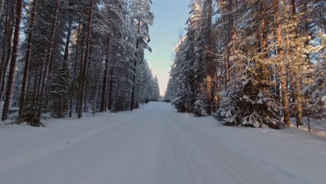 Fast-paced-driving-POV-in-snowy-avenue-of-winter-forest-trees-sunny-day