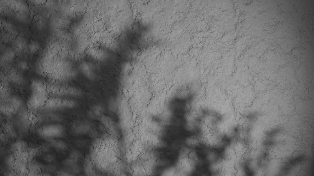 Shadow of plant branches on textured black plaster wall. Minimal nature-inspired background with soft natural light and rough stucco surface. Design for wallpaper, banner, vertical
