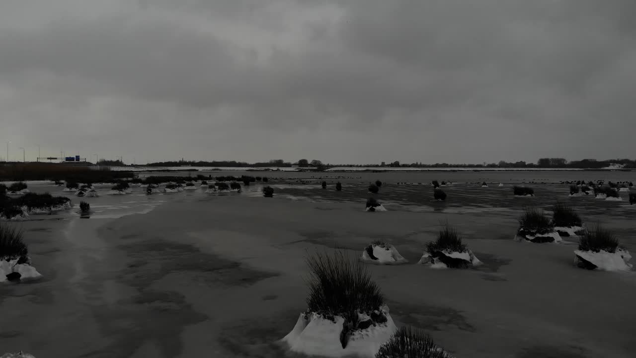 Plants Covered In Snow During Winter Season Under Cloudy Sky. aerial