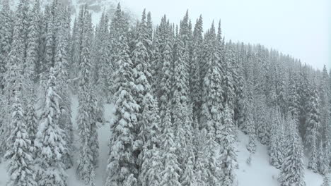 Cinematic-aerial-Colorado-winter-spring-deep-powder-snow-snowing-covered-trees-Loveland-Ski-Resort-Eisenhower-Tunnel-Coon-Hill-backcountry-i70-heavy-Continential-Divide-Rocky-Mountains-slow-left