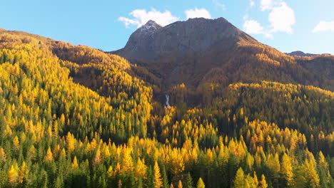 vast golden autumn alpine casere mountain valley forest, south tyrol aerial view at sunrise