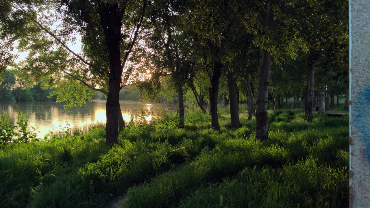 강가에서 해질녘 숲의 아름다운 전망