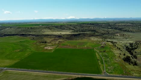 us, oregon, madras, , 2025-04-19 - drone view of dark green farms in central oregon with mt hood in the distance and a canyon in between.