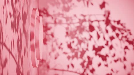 empty pink podium with shadows of leaves on a redbackground