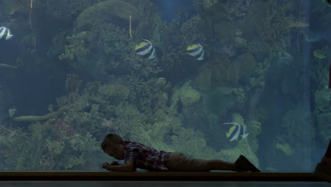 child crawling near the big aquarium