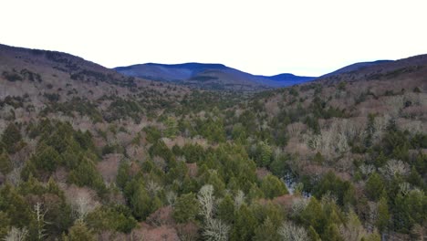 drone footage of remote wilderness with a valley, pine forests, bare canopy, and distant mountains on a cloudy winter's day