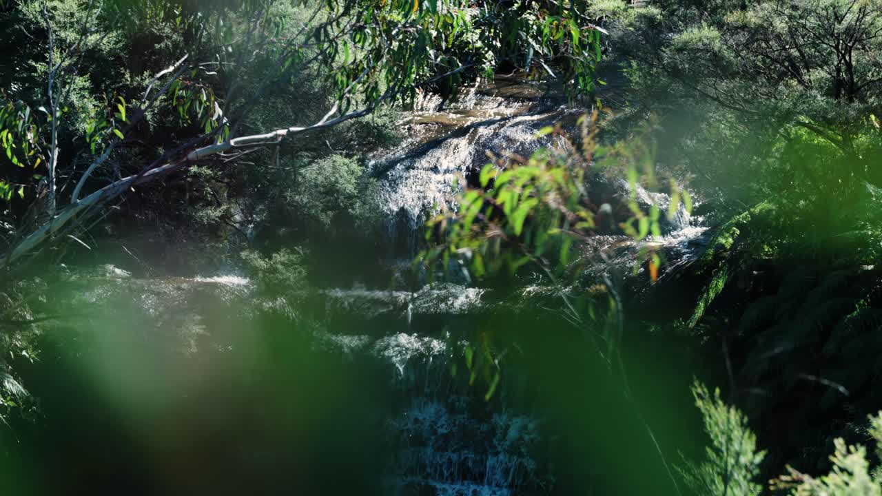 Waterfalls In The Jungle Of Blue Mountains National Park During Sunrise In New South Wales, Australia. Selective Focus Shot