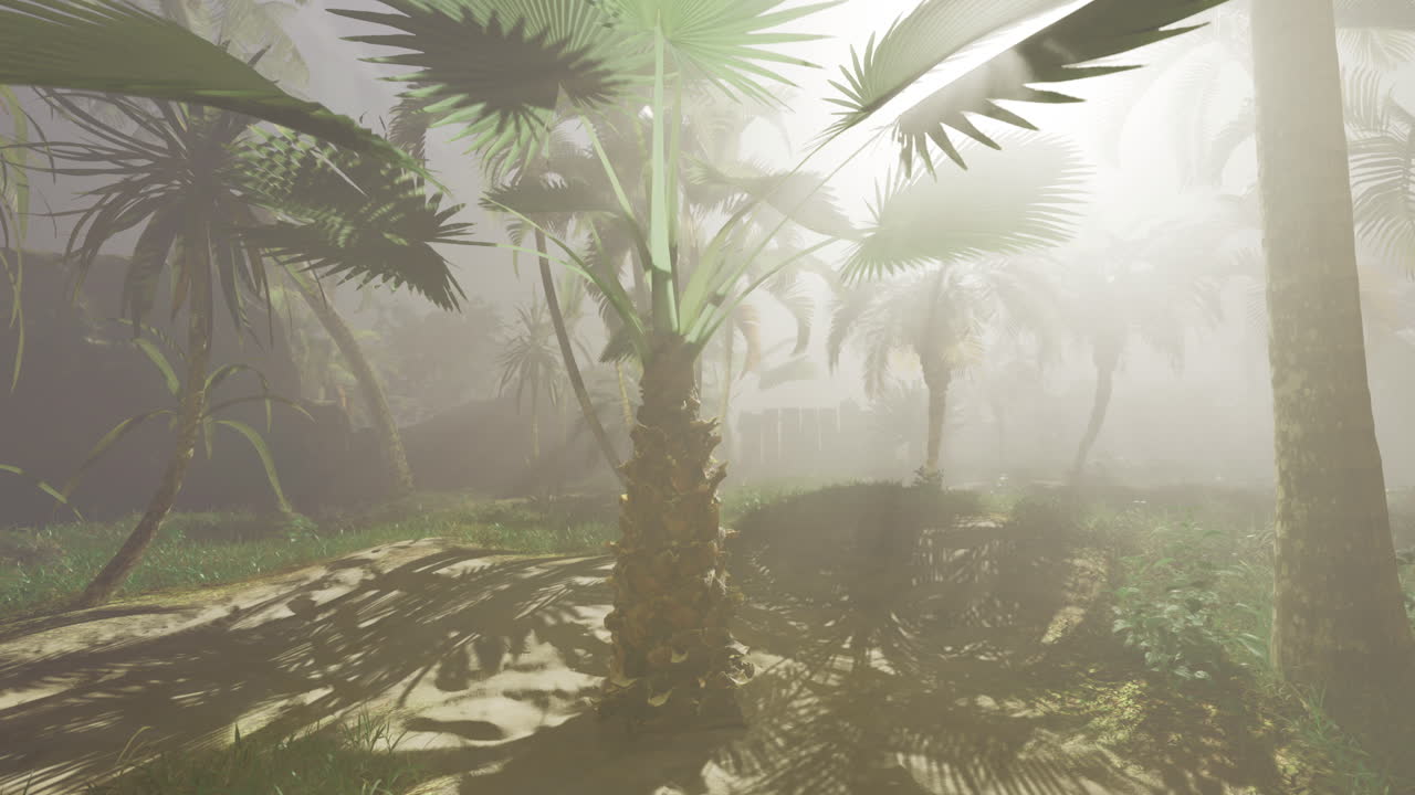 Lush tropical landscape with palm trees in ethereal mist at dawn