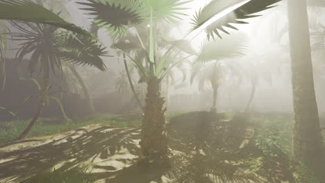 lush tropical landscape with palm trees in ethereal mist at dawn
