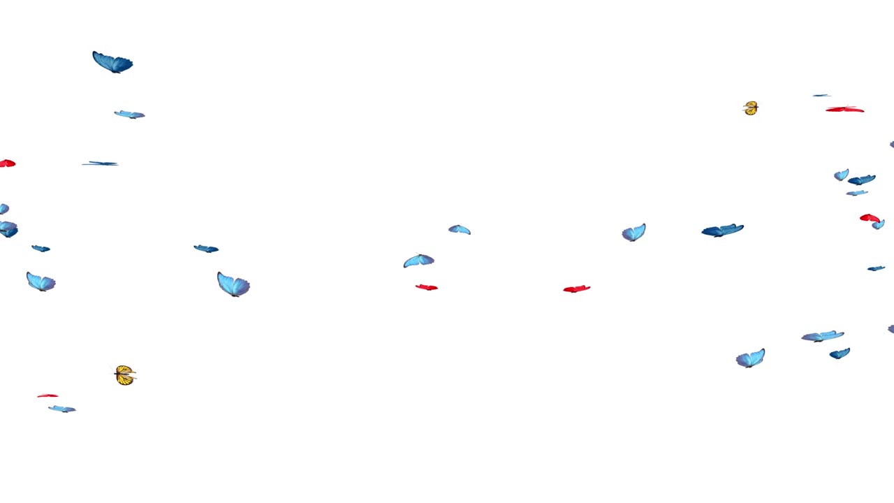 그렌 스크린 루프 배경에 나비와 함께 아름다운 봄과 여름 디자인 애니메이션