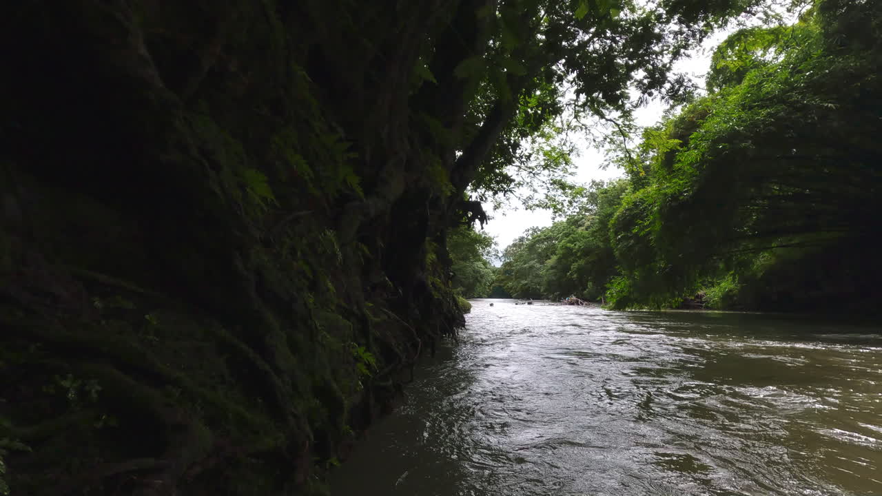 corrientes de agua exóticas salvajes del río valle de costa rica