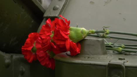 carneros rojos en un tanque - monumento conmemorativo