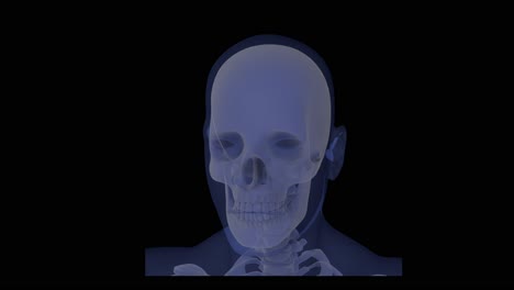 Anatomy-of-holographic-skull-in-human-body-on-black-background