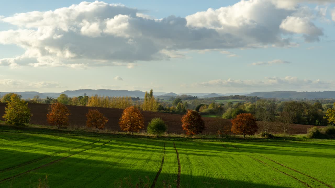 단풍과 녹색 들판의 여전히 삼각대 시간 경과