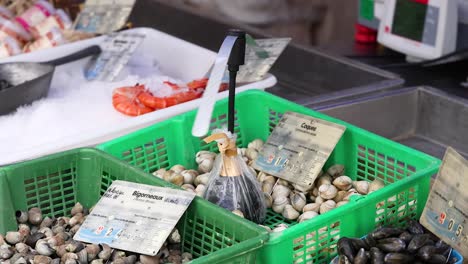 fresh seafood on display at a market stall