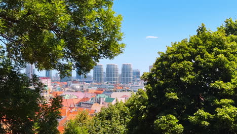 view on the roofs of the buildings in bratislava, slovakia. green tree branches are at foreground