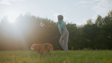 bulldog sniffing ground on grassy field while owner exercises joyfully with big smile outdoors under bright sunlight in peaceful park surrounded by trees showcasing active lifestyle