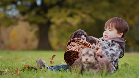 asian toddler playing with puppies in the park