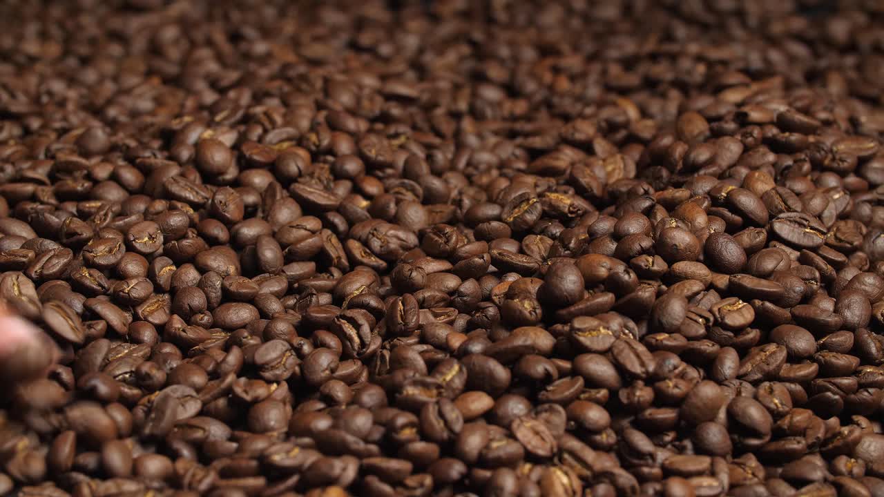 Close Up Hand Touching Coffee Beans, Video In 4K, 50Fps