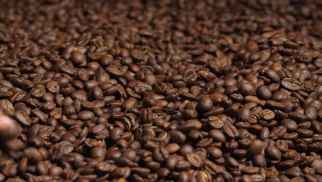 close up hand touching coffee beans, video in 4k, 50fps