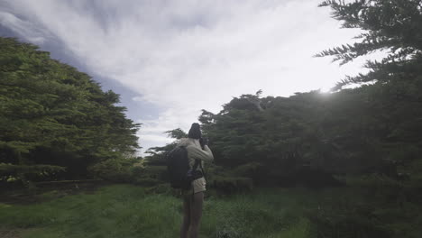 Female-nature-photographer-taking-photos-of-Trees-of-Waipapa-Point,-NZ