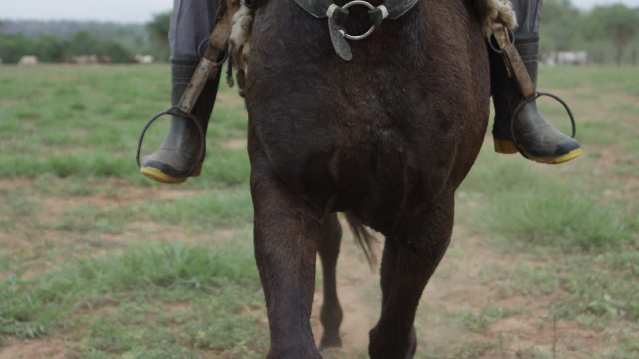 Primo piano frontale al rallentatore di un cavaliere che cavalca il suo cavallo in un campo.
