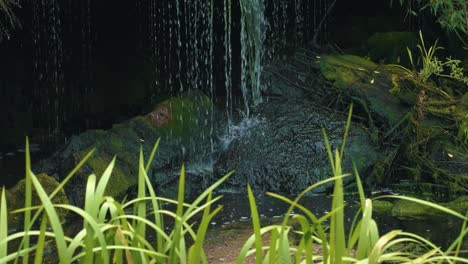 waterfall falling on a stone