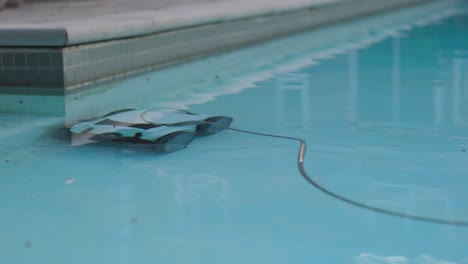 electric pool cleaning robot cleans along side of swimming pool with clear reflective water