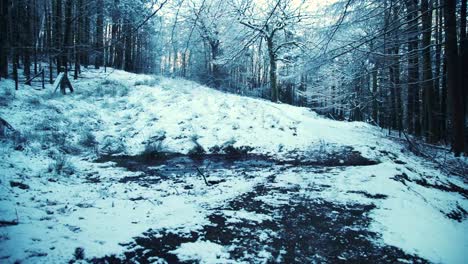 levantarse del camino fangoso en bosques cubiertos de nieve en inglaterra