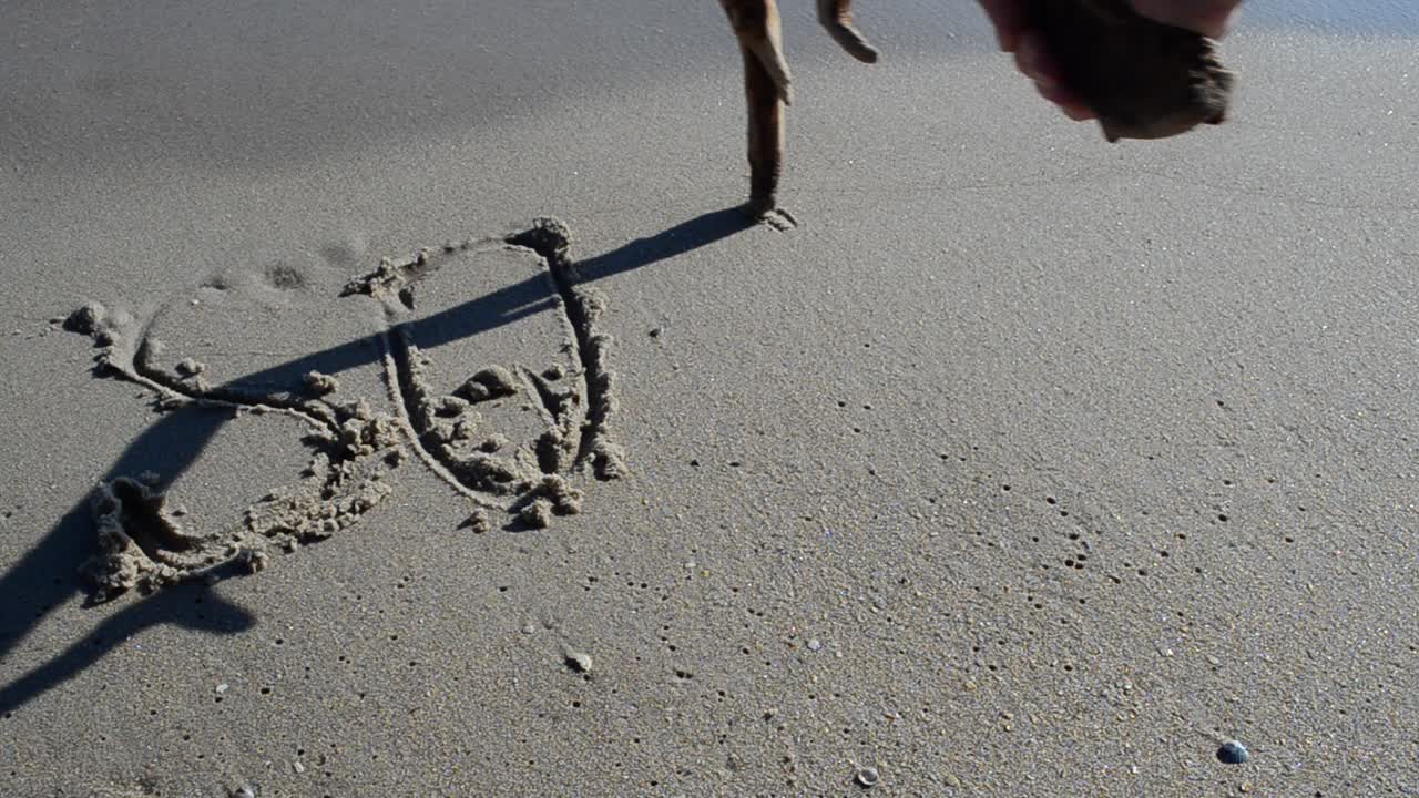 L'iscrizione SOS sulla sabbia. Riprese sulla spiaggia