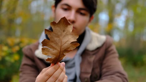 man holding a fallen brown leaf