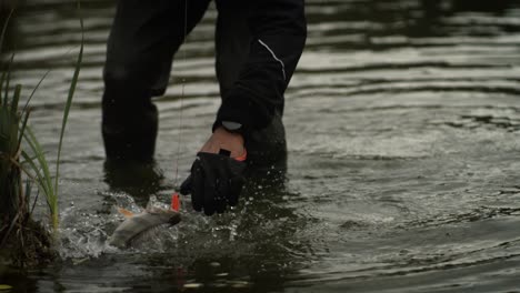 fisherman catching perch in super slow motion