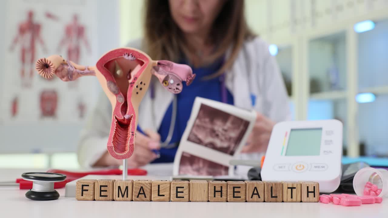 Woman doctor carefully studies ultrasound images of uterus