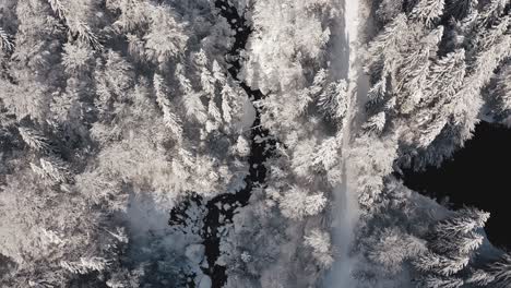 Una-Vista-Aérea-Del-Circo-Du-Fer-à-Cheval-Mientras-Está-Cubierto-De-Nieve-Durante-Un-Invierno-Frío,-Mirando-Hacia-Abajo-A-Un-Río-Helado-Que-Fluye-Entre-El-Valle-Cubierto-De-Bosque-Junto-A-Un-Lago