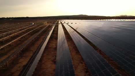 filas de paneles solares en el sur de francia, capturando el resplandor dorado de la puesta de sol