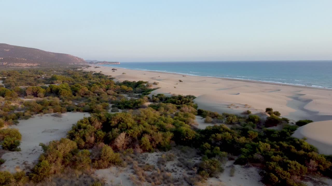 Aerial View of Coastal Sand Dunes and Vegetation