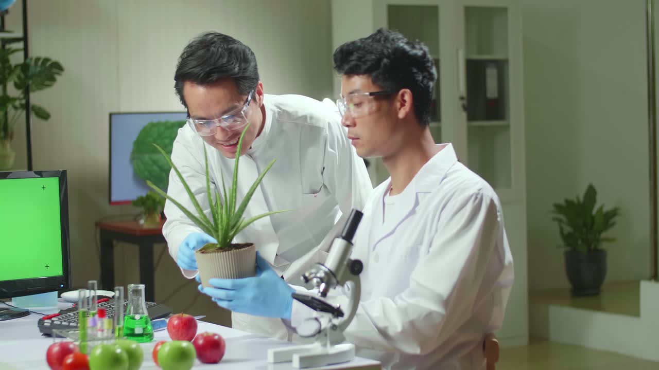 Medical Team Researchers Analyzing Botany Expertise On Green Screen Computer Display Discovering Genetic Mutation. Pharmaceuticals Scientist Working In Biochemistry Laboratory At Biological Agriculture Experiment