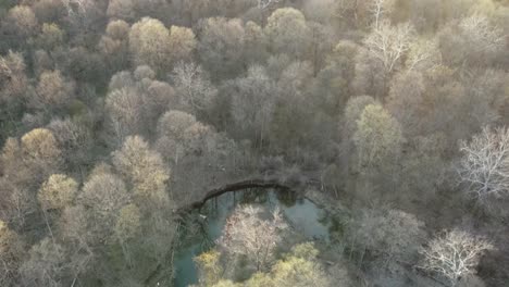 Volando-Sobre-Un-Arroyo-Y-Bosques-Al-Atardecer-Con-Un-Dron