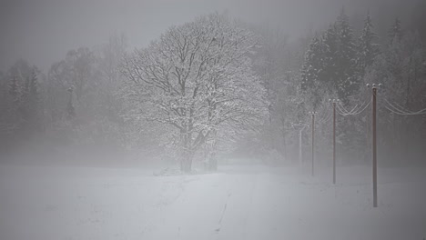 Statischer-Zeitraffer-Einer-Gefrorenen-Reihe-Von-Hochleistungsmasten,-Die-Während-Eines-Schneesturms-Im-Winter-Durch-Bäume-Führen