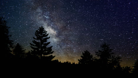 a vfx shot of an astro timelapse of a starry night with the milky way and pine trees in the foreground