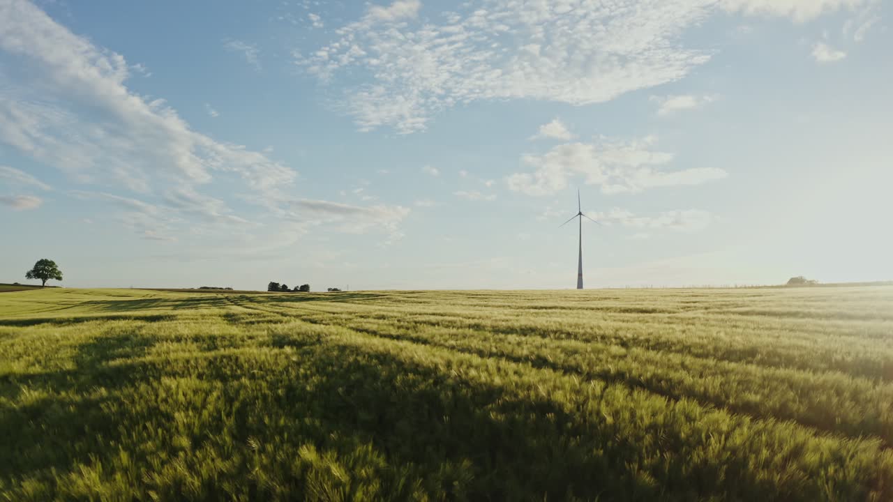 пшеничное поле с ветряной турбиной