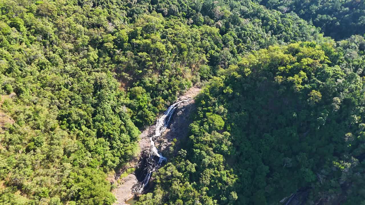 Aerial footage captures a vibrant rainforest canopy with a cascading waterfall in Port Douglas, Australia, under bright daylight