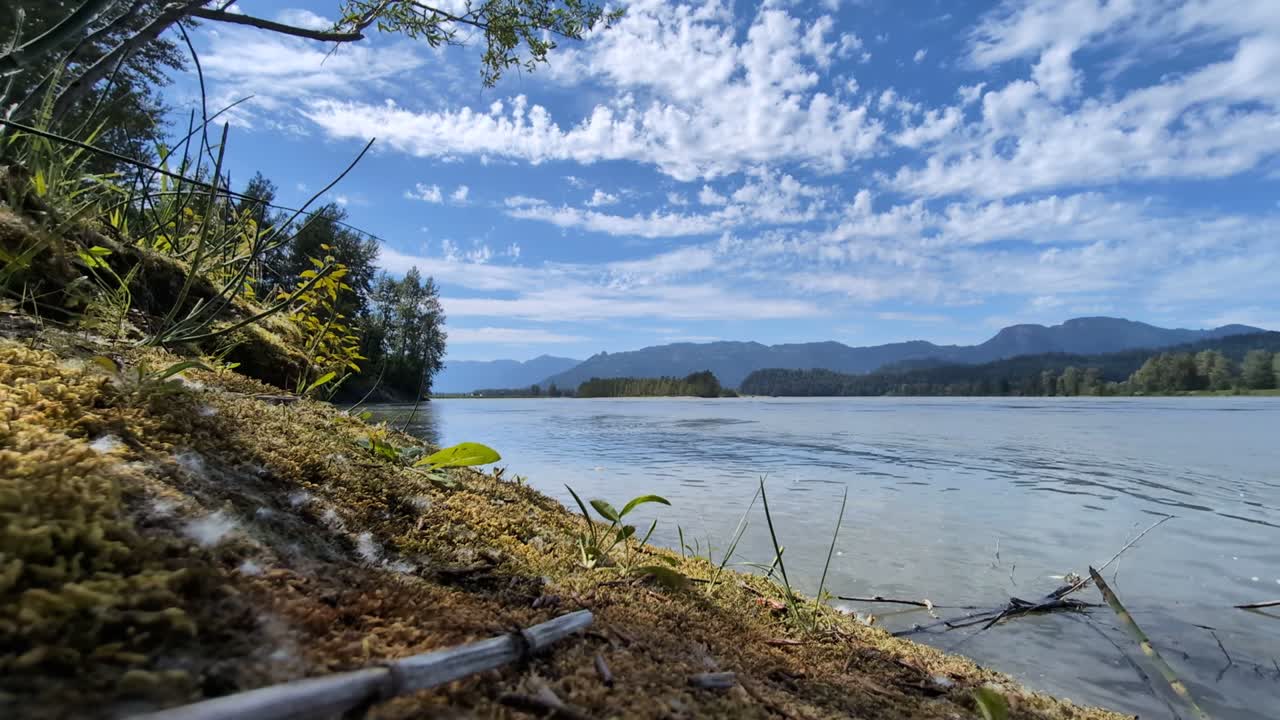 Serene scene of Fraser River in Chilliwack with calm water and forested shores. Mountains rise under a bright blue sky dotted with soft clouds. Peaceful nature setting ideal for relaxation.