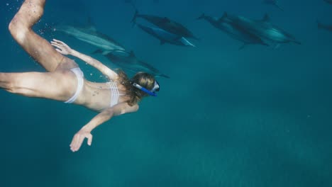 una mujer hermosa nadando con delfines.