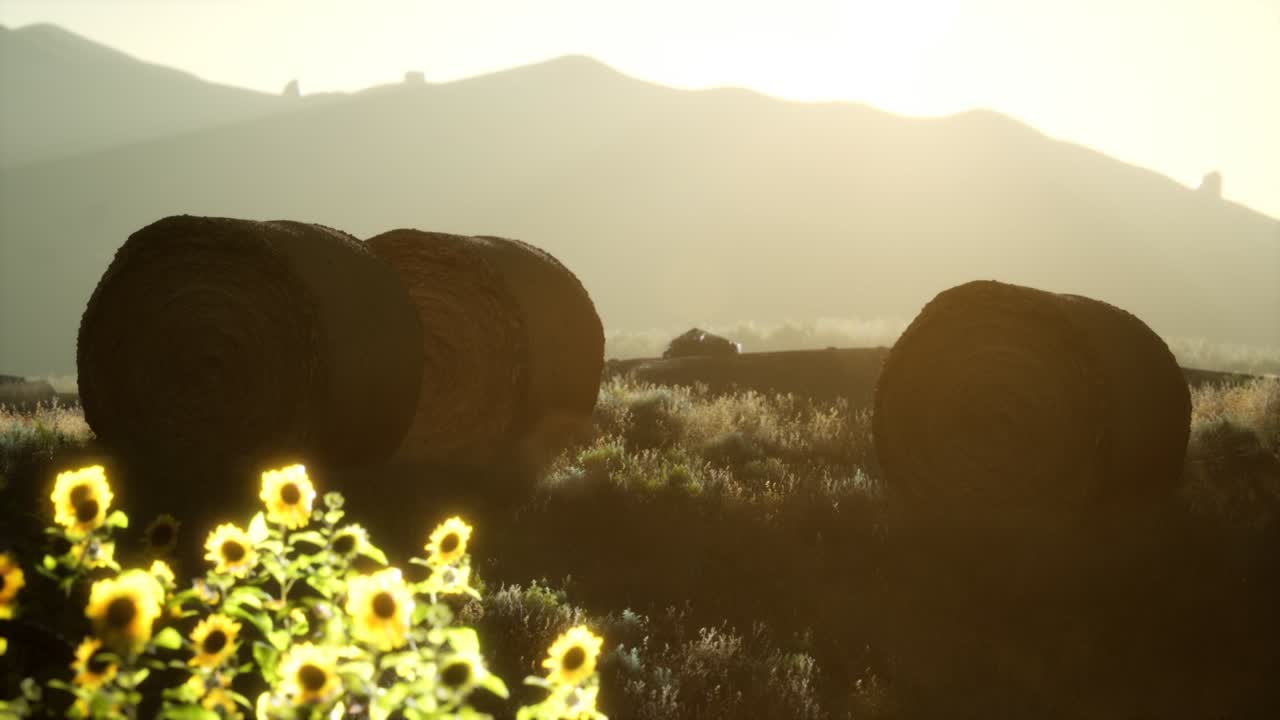 해가 지는 동안  ⁇   ⁇ 어리