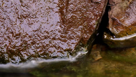 Lapso-De-Tiempo-Y-Tiempo-De-Exposición-De-Rocas-Húmedas-Con-Caracoles-Y-Larvas-De-Insectos