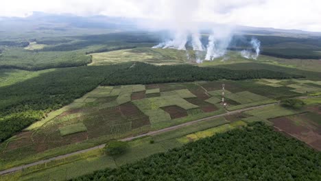 aerial view of wildlife fire in kenya, forest destruction in loitokitok forest. smoke burning forest tree cover africa march 2021.
